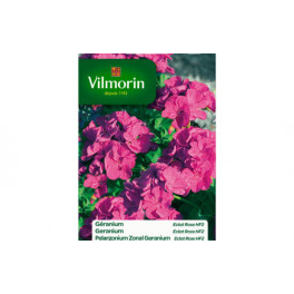 Geranium Eclat Rose Hybride F2 Vilmorin 