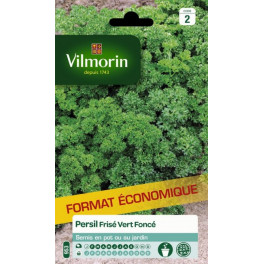 Persil Frise Vert Fonce GMS2 Eco Vilmorin 