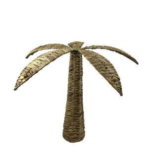 PALMIER EN JACINTHE D EAU H13CM