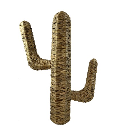 CACTUS EN JACINTHE D EAU H53CM