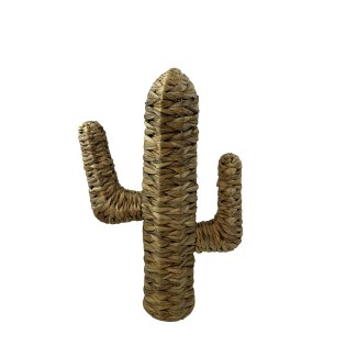 CACTUS EN JACINTHE D EAU H35CM