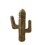 CACTUS EN JACINTHE D EAU H35CM