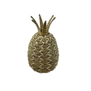 ANANAS EN JACINTHE D EAU H27CM