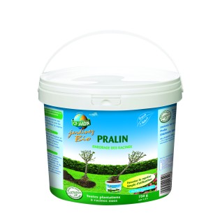 Pralin 750gr