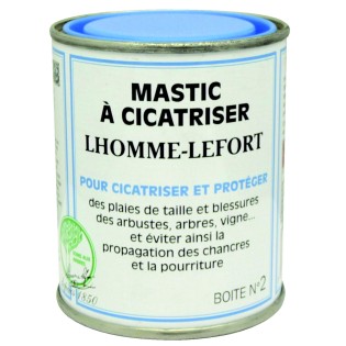 MASTIC A CICATRISER 200GR