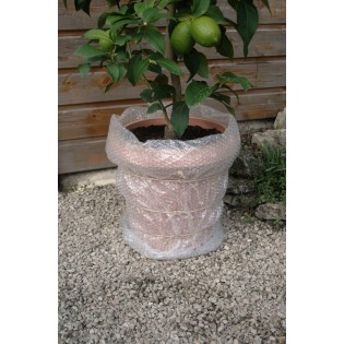 FILM A BULLES ROULEAU 1X5M