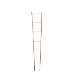 TUTEURS ECHELLE BAMBOU DIA 8 -14 mm x H. 120 cm (à l'unité)