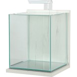 JALAYA XL