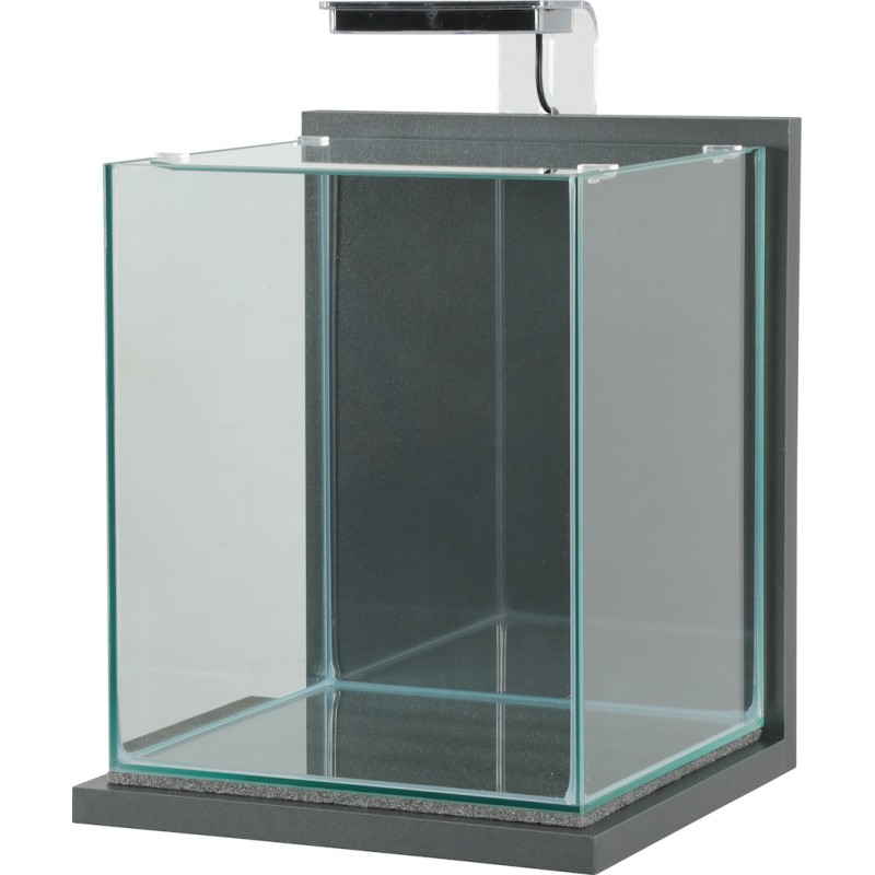 JALAYA XL