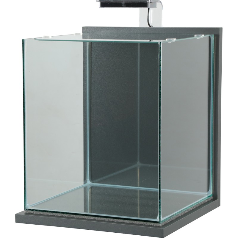 JALAYA XXL