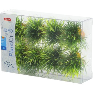 PLANTKIT IDRO SMALL PLANT