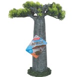 AFRICA BAOBAB L