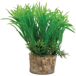 DECOR PLANTE SMALL T1 ASS