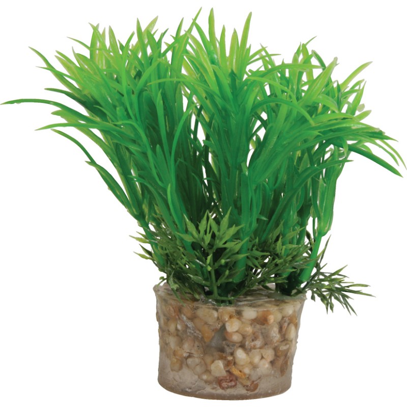 DECOR PLANTE SMALL T1 ASS