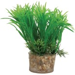 DECOR PLANTE SMALL T1 ASS