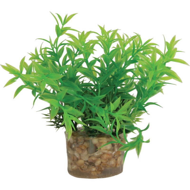 DECOR PLANTE SMALL T1 ASS