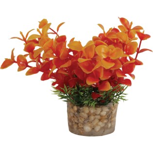 DECOR PLANTE SMALL T2 ASS
