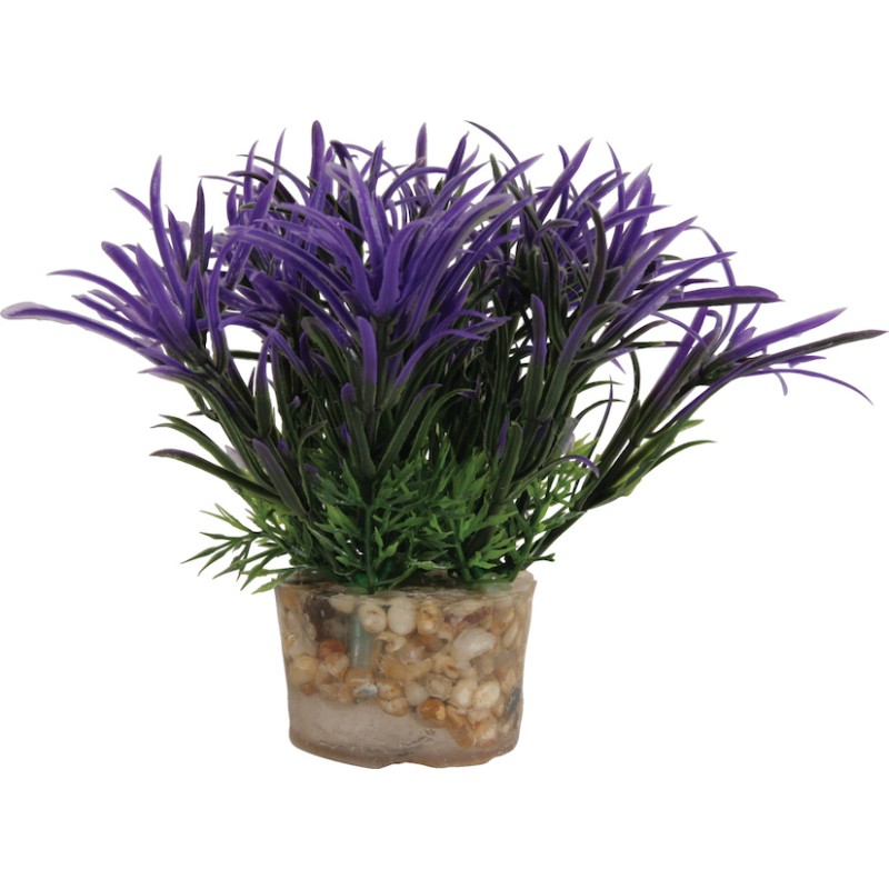 DECOR PLANTE SMALL T2 ASS