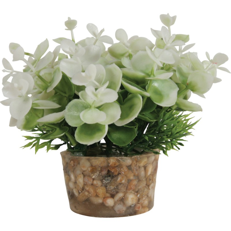 DECOR PLANTE SMALL T2 ASS