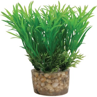 DECOR PLANTE SMALL T3 ASS