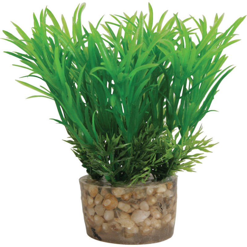 DECOR PLANTE SMALL T3 ASS