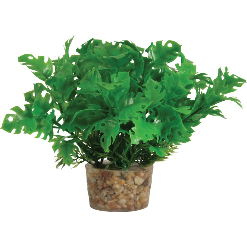 DECOR PLANTE SMALL T3 ASS
