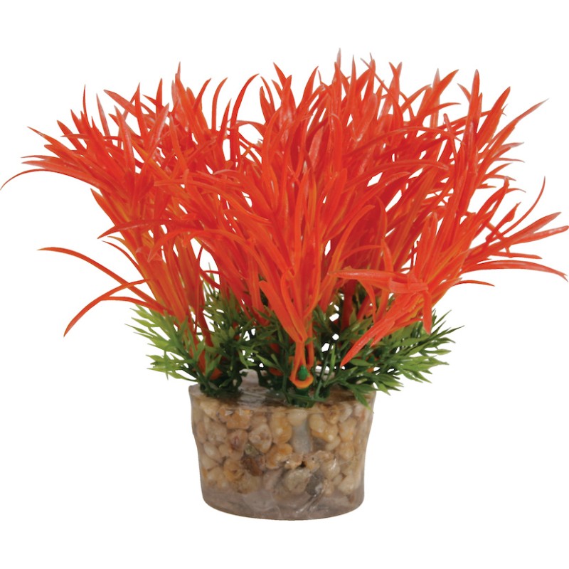DECOR PLANTE SMALL T3 ASS
