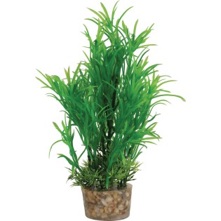 DECOR PLANTE MEDIUM T1 ASS