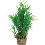 DECOR PLANTE MEDIUM T1 ASS