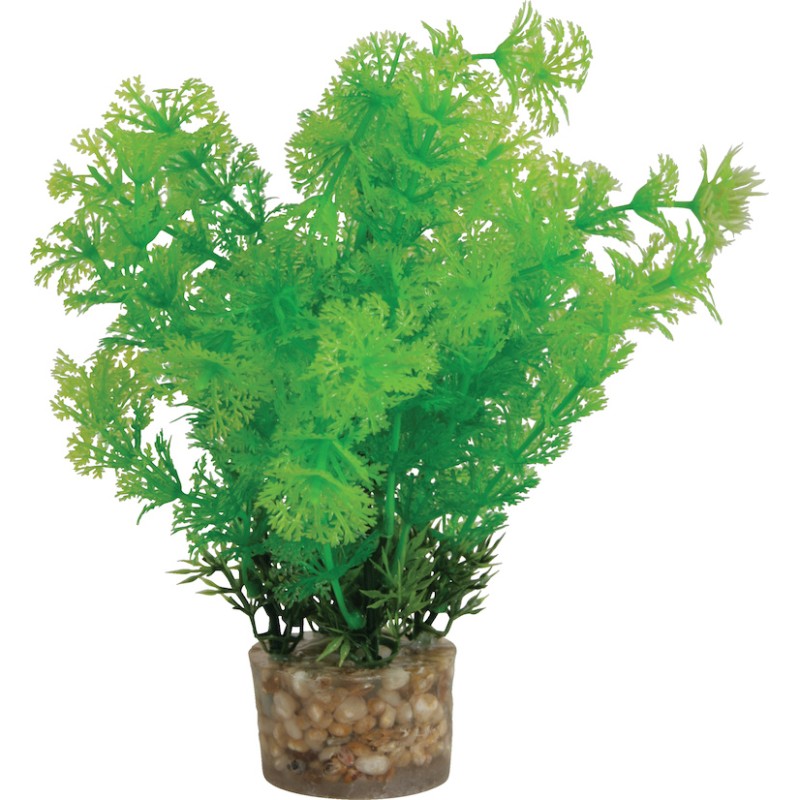 DECOR PLANTE MEDIUM T1 ASS