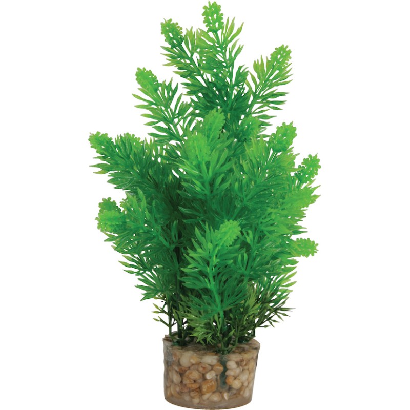 DECOR PLANTE MEDIUM T1 ASS