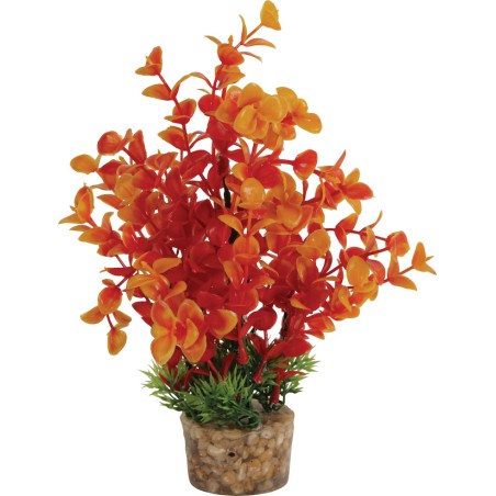 DECOR PLANTE MEDIUM T2 ASS
