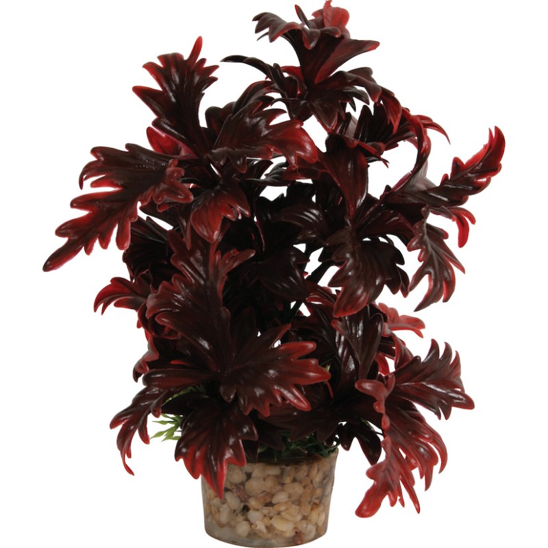 DECOR PLANTE MEDIUM T2 ASS