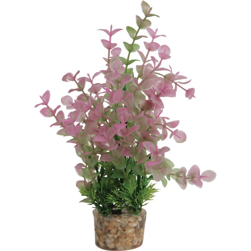 DECOR PLANTE MEDIUM T2 ASS