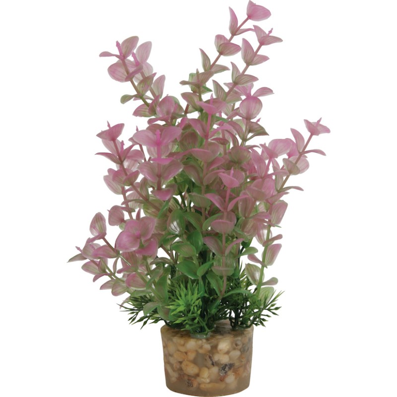 DECOR PLANTE MEDIUM T3 ASS