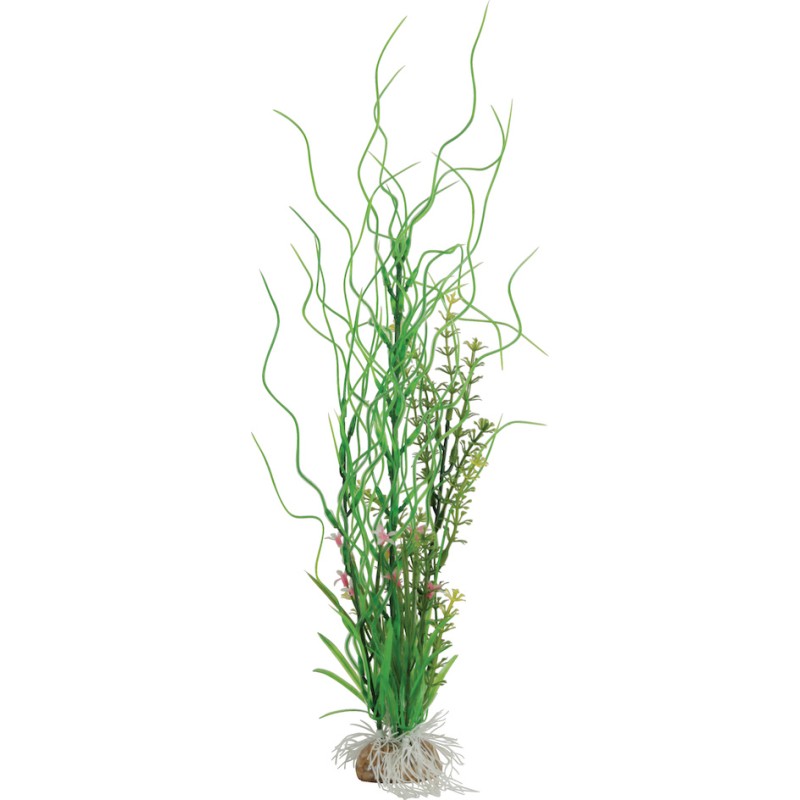 DECOR COMPO VERDURE