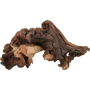 RACINE MAUPANI SMALL