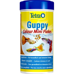 TETRA GUPPY COLOUR 250ML