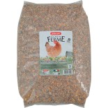 MELANGE POULE PONDEUSE