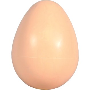 OEUF POULE FACTICE A L'UNITE