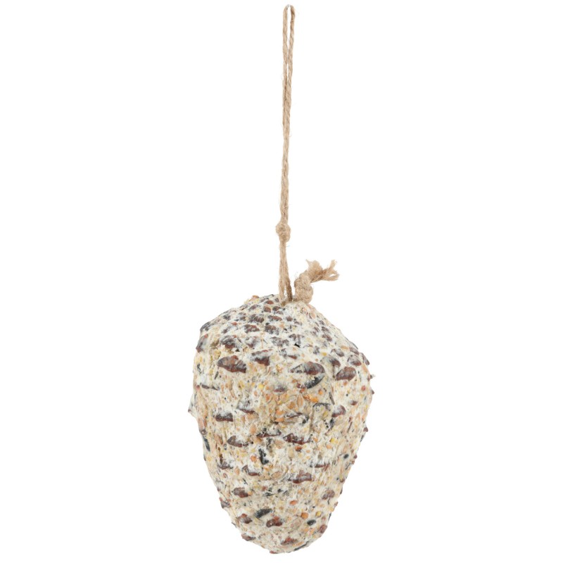 POMME DE PIN GRAISSE 290G