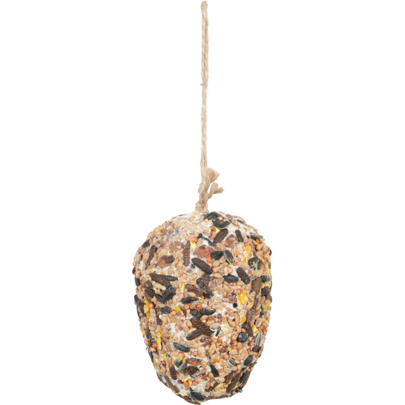 POMME PIN GRAISSE INSECTES