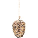 POMME PIN GRAISSE INSECTES