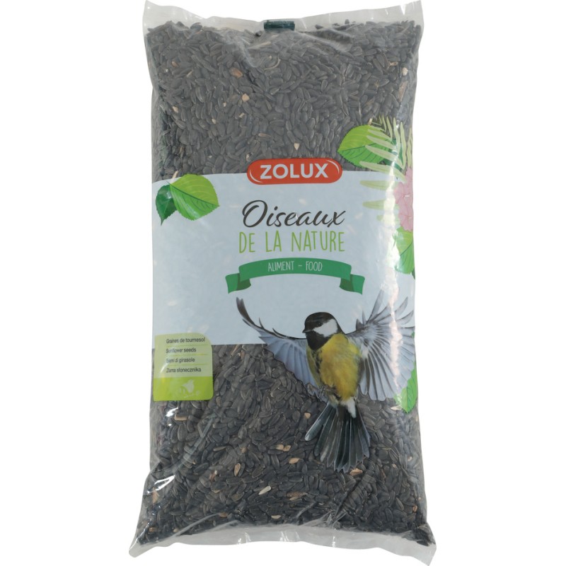 TOURNESOL OISEAU JARDIN
