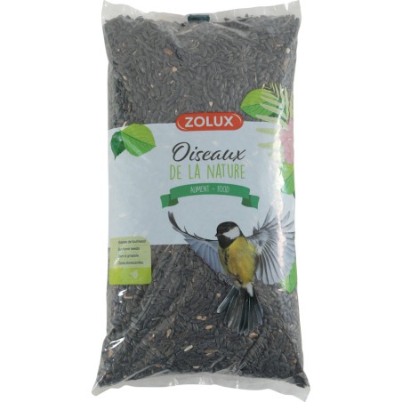 TOURNESOL OISEAU JARDIN