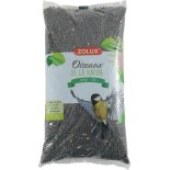 TOURNESOL OISEAU JARDIN