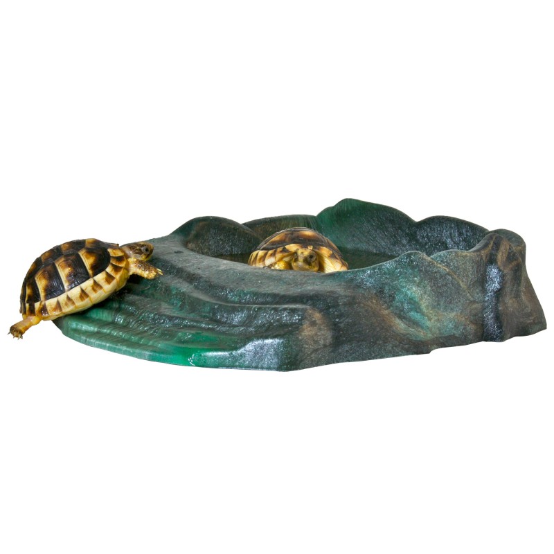 ABREUVOIR REPTIRAMP