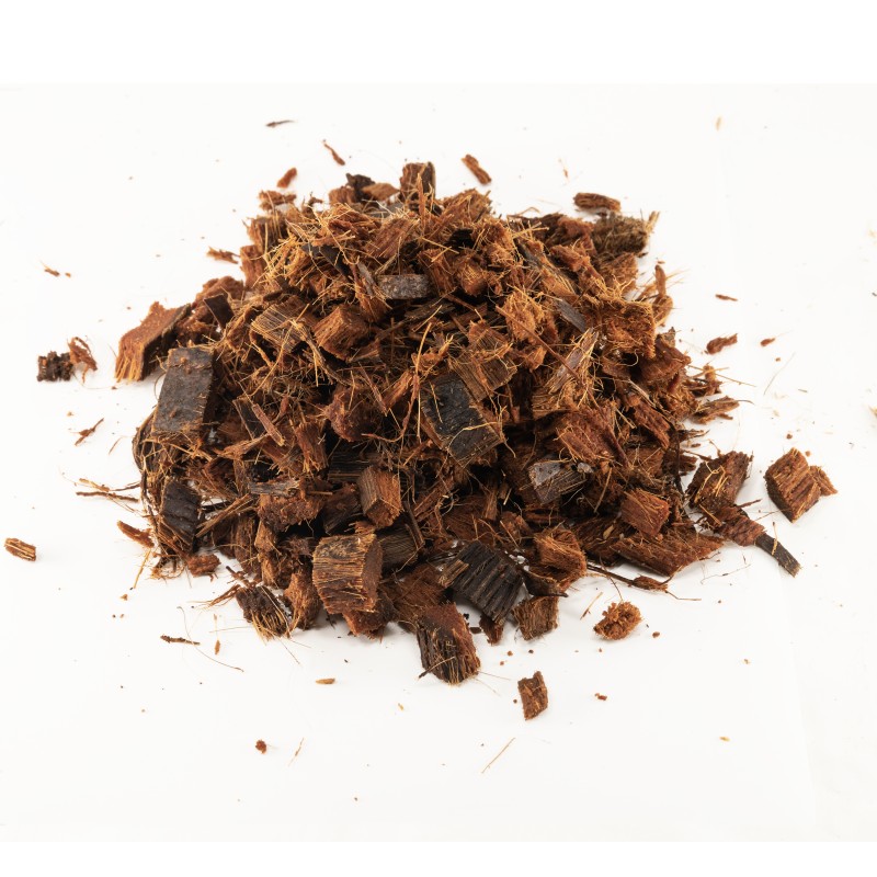 BRIQUE COCONUT CHIPS