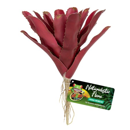 DECOR FIREBALL BROMELIAD BU-6