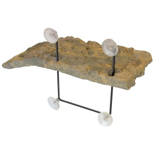 ILOT FLOTTANT TORTUE